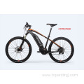 Mid Motor Affordable Electric Bike